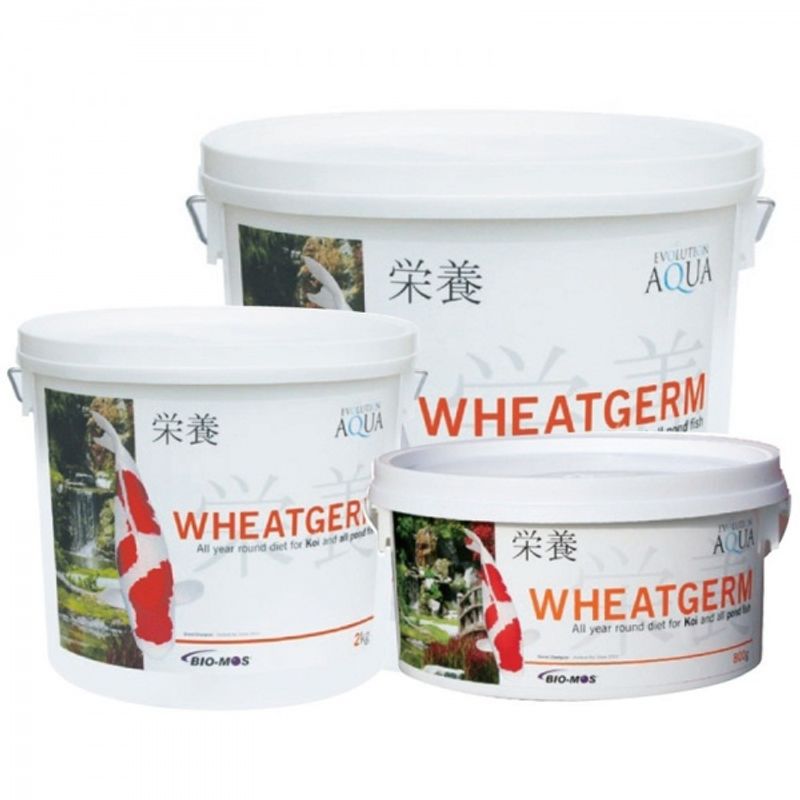 WHEATGERM 2000G (5-6MM/MEDIUM)