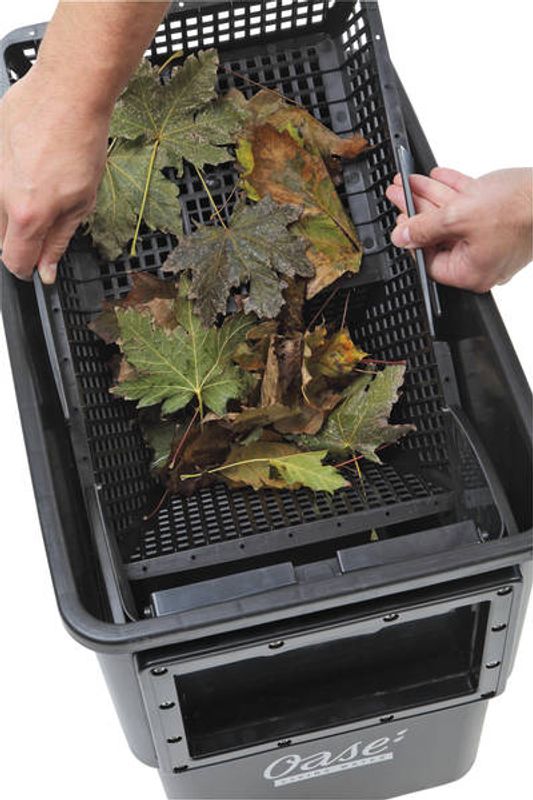 Oase Biosys | Skimmer+