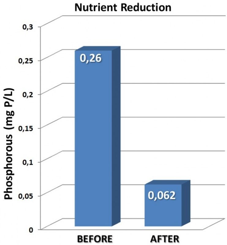 PONDZINGER FOSFATFJERNER OG PARTIKKELFELLER