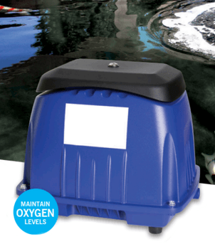 Hovedbilde LUFTPUMPER