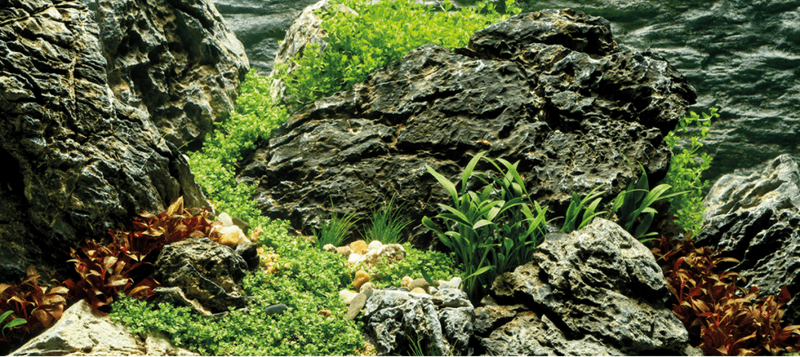 AKVARIUM DEKORASJON