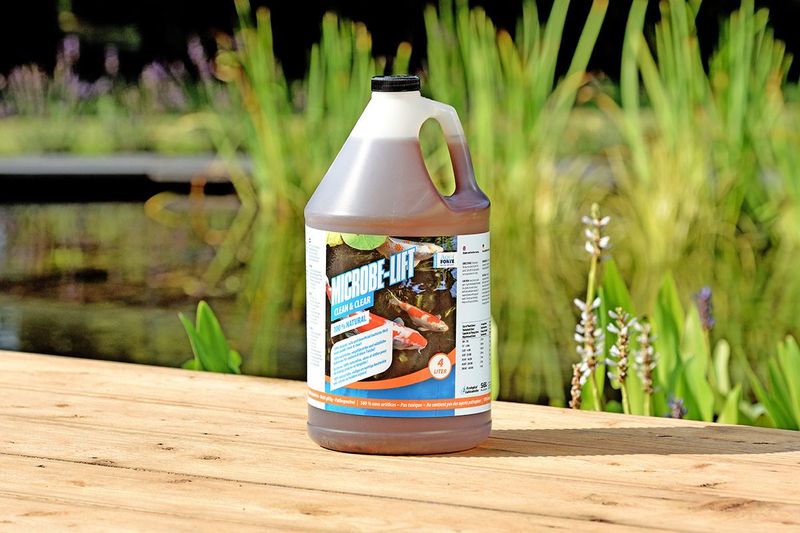 Microbe-lift | Clean and Clear 4L